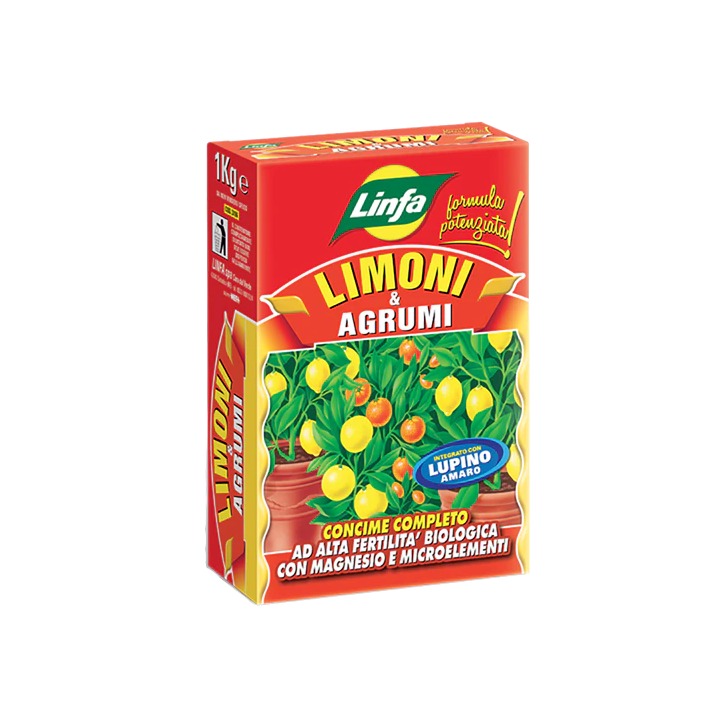 limoni e agrumi 1